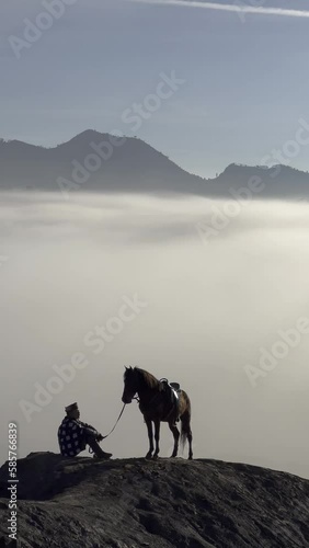 horse on the mountain