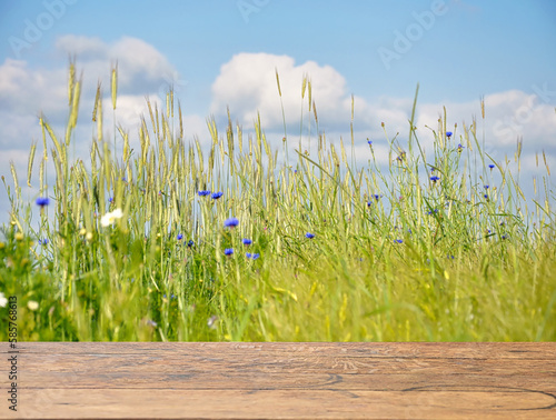 Blumenwiese, Hintergrund, Sommer