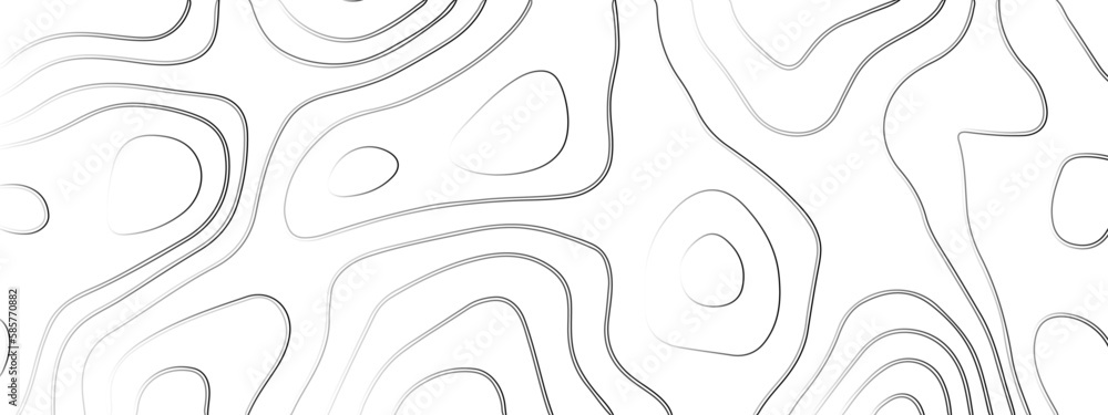 Abstract curve line white background. Soft smooth lines curving white papercut background. Abstract curve line white background. Soft smooth lines curving white papercut background.