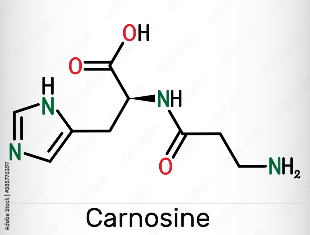 Carnosine dipeptide molecule. It is anticonvulsant, antioxidant, antineoplastic agent, human metabolite. Skeletal chemical formula