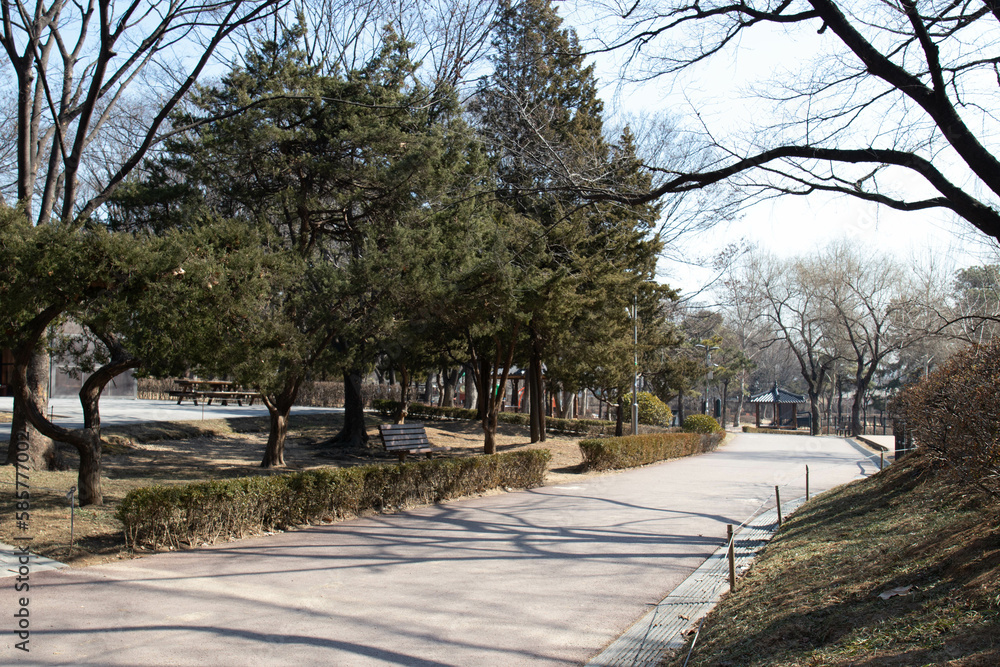 Scenery of the Park in Autumn, all trees  lose their greenery or leaves