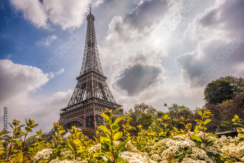 Eiffel Tower during beautiful spring time in Paris, France © Tomas Marek