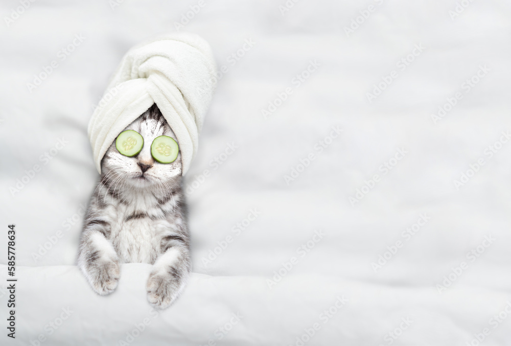 Cute kitten with towel on his head, with cream on his face and with a pieces of cucumber on his eyes relaxing on the bed at spa salon. Top down view. Empty space for text - obrazy, fototapety, plakaty 