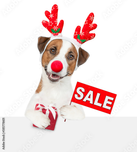 Jack russell terrier puppy dressed like santa claus reindeer Rudolf holds gift box above empty white banner and shows signboard with labeled "sale". isolated on white background © Ermolaev Alexandr