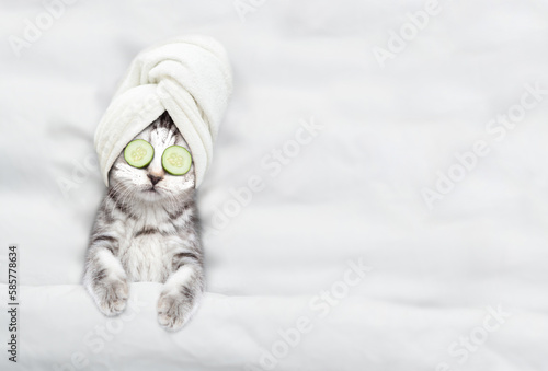 Cute kitten with towel on his head, with cream on his face and with a pieces of cucumber on his eyes relaxing on the bed at spa salon. Top down view. Empty space for text
