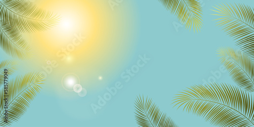 Palm leaves against the blue sky. Bright sunlight. Noon. Tropical background.