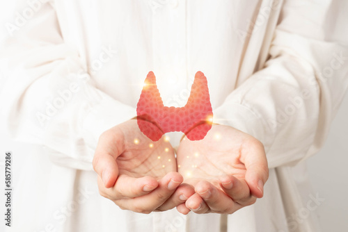 Fotografía Thyroid gland anatomy on doctor hands