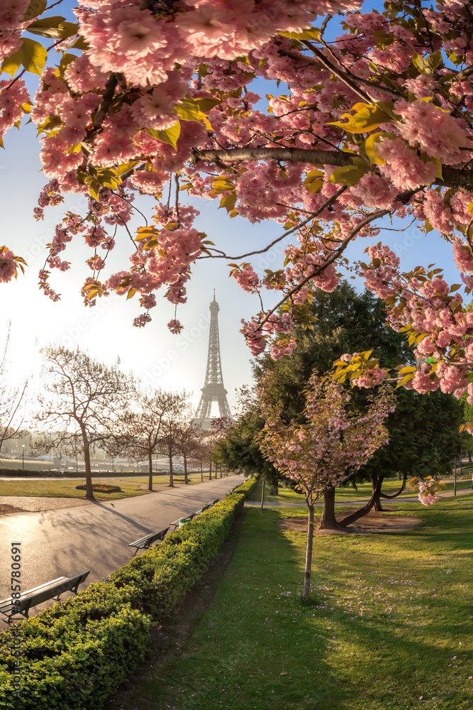 Naklejka premium Eiffel Tower during beautiful spring time in Paris, France