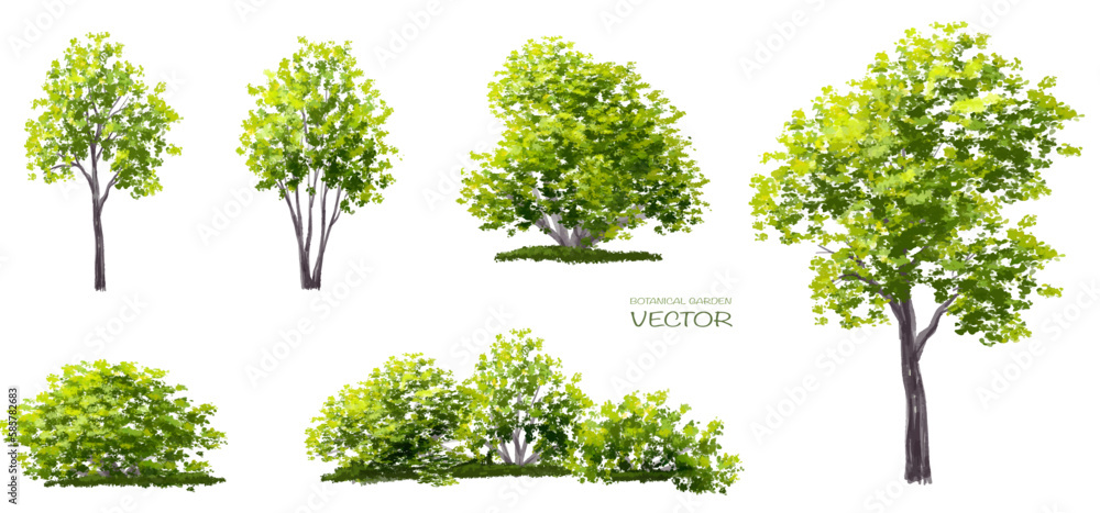 Vector watercolor of tree side view isolated on white background for ...