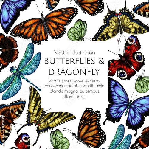 Vector illustration frame insects. Monarch butterfly, hive butterfly, peacock butterfly, butterfly swallowtail, pieridae, butterflies admiral, podalirius, papilio, dragonfly