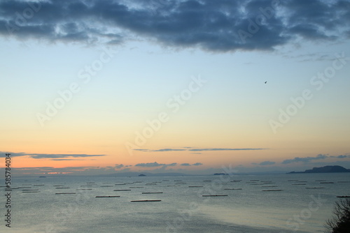 兵庫県たつの市御津町室津から見た牡蠣筏並ぶ播磨灘の夜明け前の風景