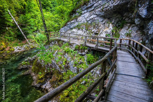 The Vintgar Gorge Landscape In Slovenia