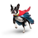 cute black Boston_Terrier wearing piloting glasses puppy dog  cape superhero with Generative AI technology