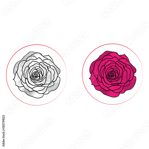 Line art Coloring page Vector. Bouquet of roses. Coloring book. Art for adults and children.