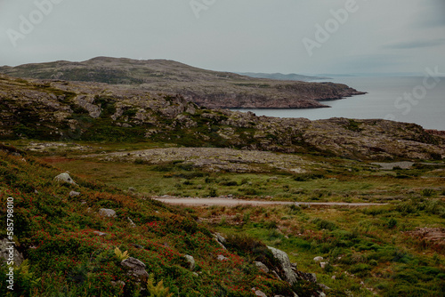 Nature of tundra, sea beach and mountains, moss and berries