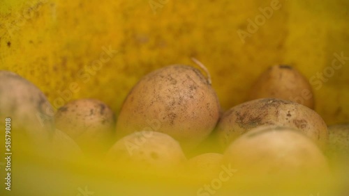 White potatoes in a yellow thigh close-up photo