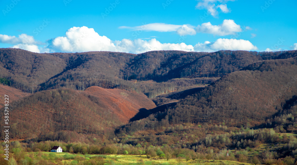 Landscape with hills and forests in early spring in Transylvania - Romania