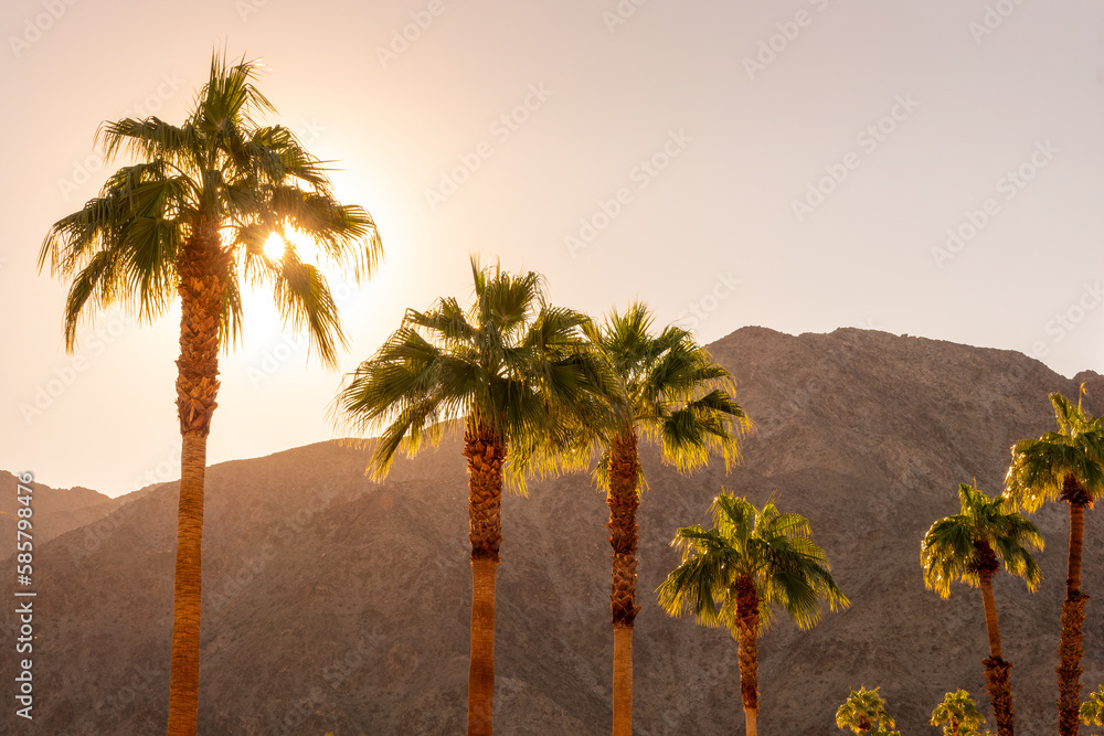 Palm trees and desert mountain at sunset in Palm Springs, California - obrazy, fototapety, plakaty 