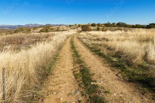 View of road or dirt track in rolling autumn landscape with mountains in the background