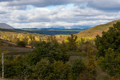 View of beautiful rolling autumn landscape with forests of oaks, pines and poplars. Wide visibility that reveals the background mountains