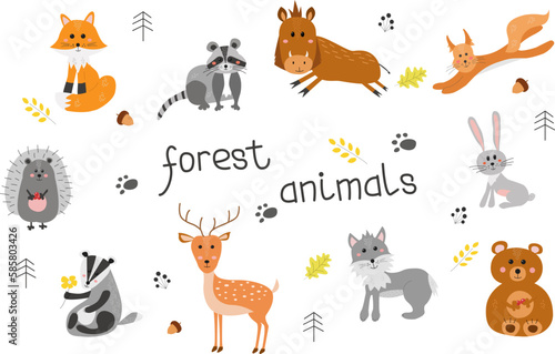 Cute woodland animals vector set