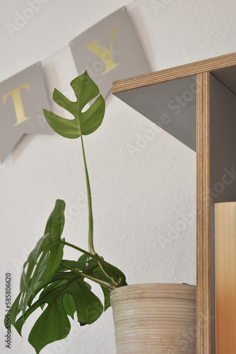 Decoration setting