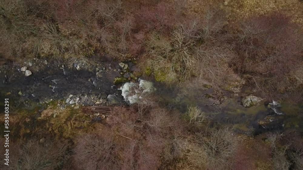Overhead View Of Stream Surrounded With Dried Grass. - aerial Overhead View Of Stream Surrounded With Dried Grass. - aerial