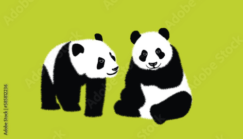 cute panda family Black and white linear hand drawn panda bear vector illustration on colorful background.