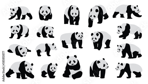 cute panda Vector illustration isolated on colorful Set of cute big pandas in different poses. flat vector illustration design