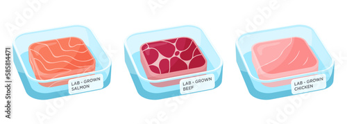 Cell cultured beef, salmon and chicken meat in a petri dishes isolated on white. Lab-grown meat vector set drawn in cartoon style.