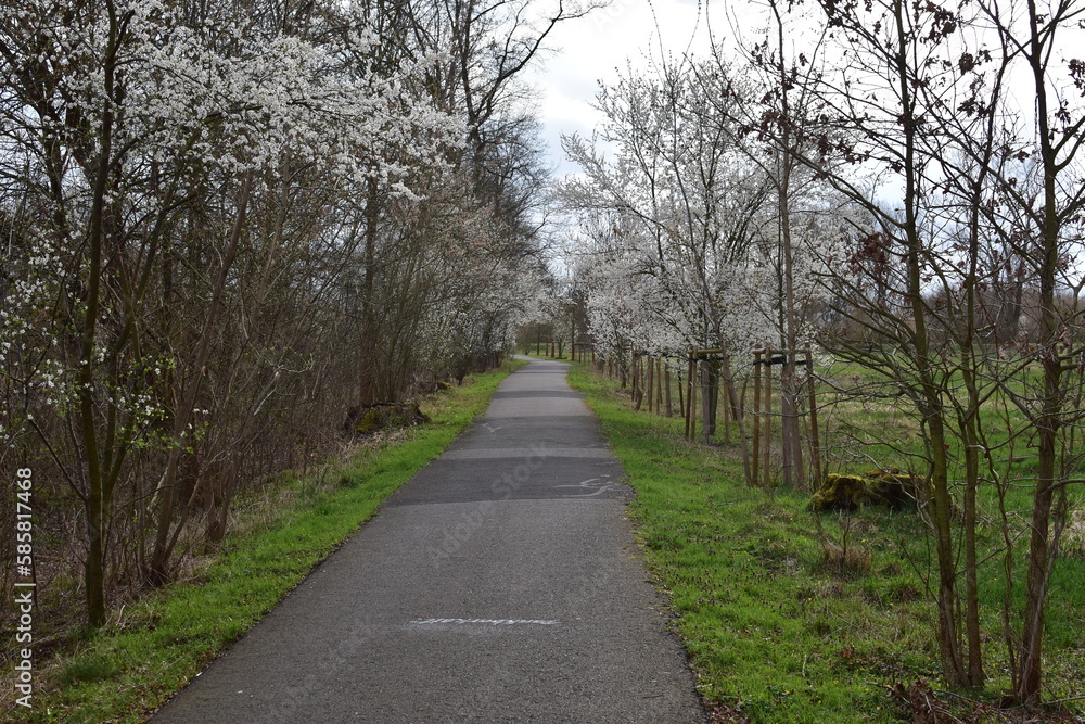 Der Weg Der Weg