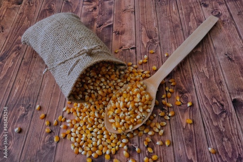 Corn in a wooden spoon. Corns in a cloth bag.