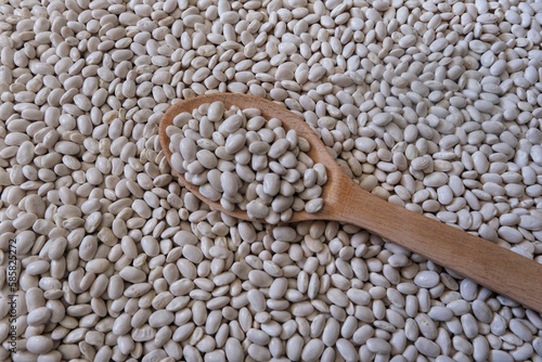 White beans. Beans in wooden spoon.