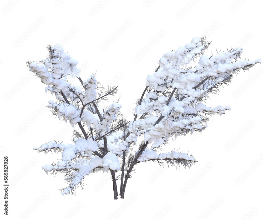 Albero con e senza foglie bianche, arancioni, verdi, gialle, rosse fondo trasparente e isolato Albero con e senza foglie bianche, arancioni, verdi, gialle, rosse fondo trasparente e isolato