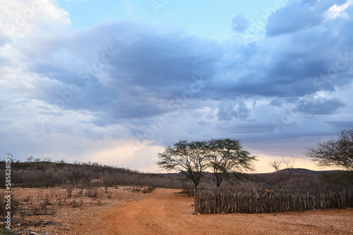 Caatinga, Sertão, Nordeste