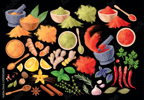 Big vector set of high detailed spices
