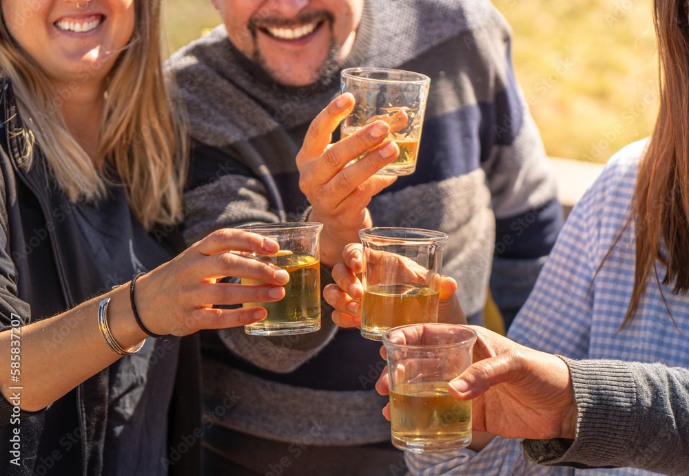 Detail of the hands of a group of four friends clinking their glasses smiling of white wine and toasting to be together again on a sunny day by lighting up their glasses. Detail of the hands of a group of four friends clinking their glasses smiling of white wine and toasting to be together again on a sunny day by lighting up their glasses.
