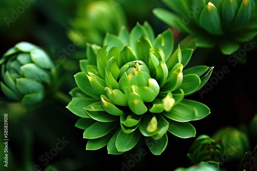 Tropical Plant Brilliance: A Close-up of a Bunch of Colorful Green Flowers. Generative AI photo