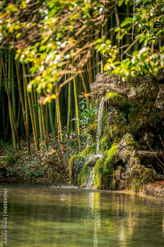 Fototapeta premium waterfall in the forest