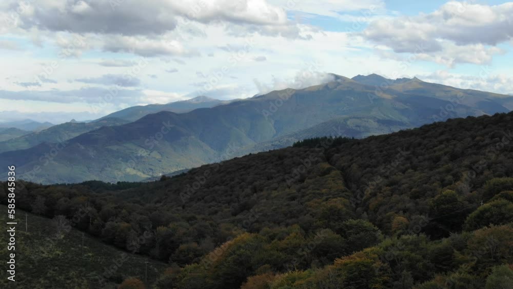 Drone flying over woods with mountains in background, Pyrenees in France. Aerial forward Drone flying over woods with mountains in background, Pyrenees in France. Aerial forward