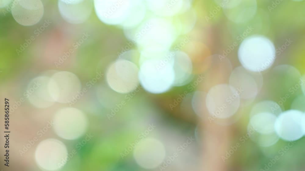 blurred nature background blurred nature background