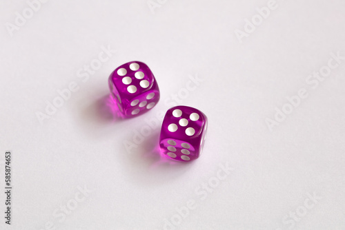 two purple dices on white background