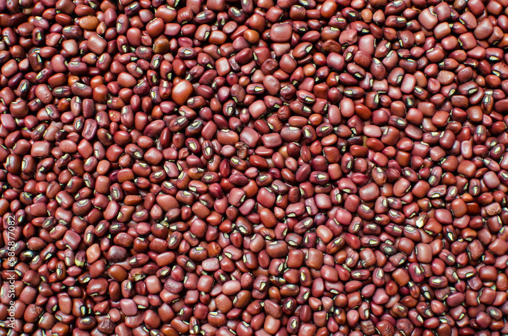 Breakfast beans, a variety of beans found in Panama Breakfast beans, a variety of beans found in Panama