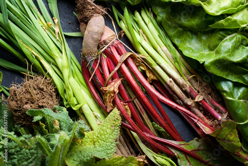 Bilde på lerret Vegetables freshly picked from the garden