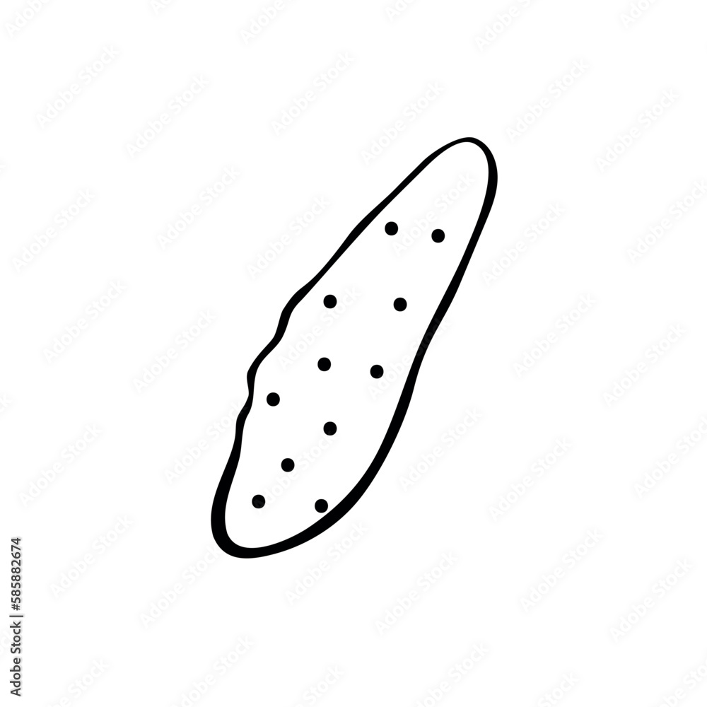 Cucumber vector drawing icon. Simple clip art vegetable in doodle style, outline illustration of farm product Cucumber vector drawing icon. Simple clip art vegetable in doodle style, outline illustration of farm product