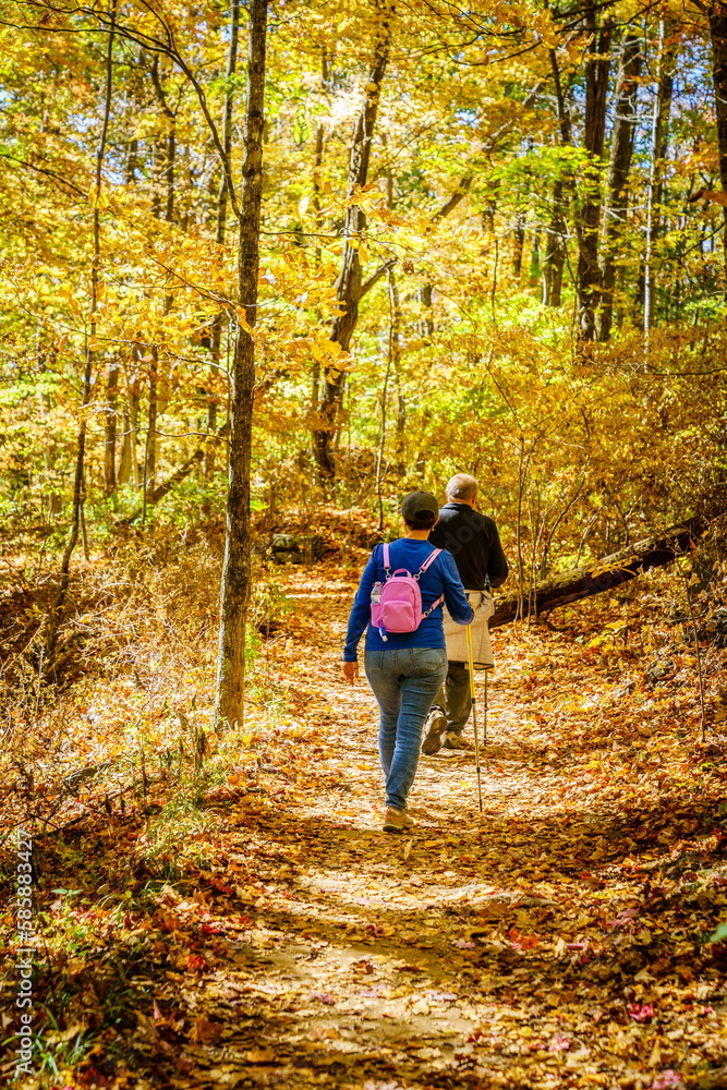 Senior couple hiking Senior couple hiking