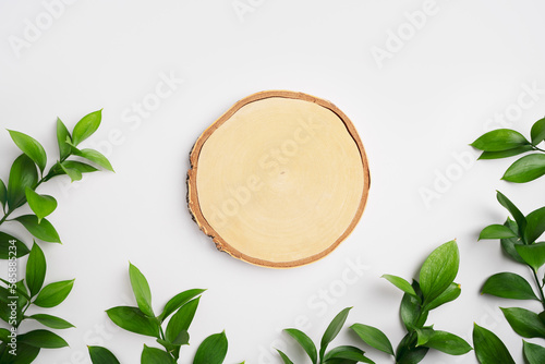 Empty wooden podium and green leaves on light grey background top view. Round saw cut and fresh natural branches for cosmetic advertising. Eco product presentation mockup. Top view. Minimal flat lay.