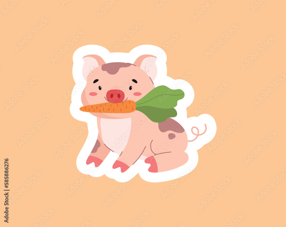 Funny pig with carrot flat style, vector illustration Funny pig with carrot flat style, vector illustration