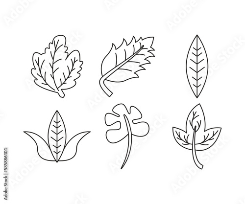 tropical leaf icons set line illustration