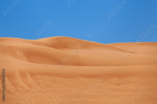 Liwa desert near Dubai in UAE